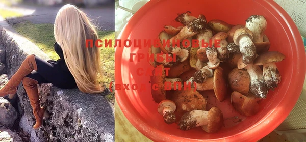 тгк Баксан