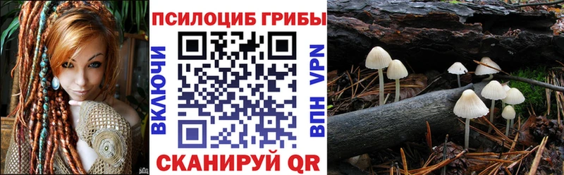 Псилоцибиновые грибы ЛСД  Гвардейск 